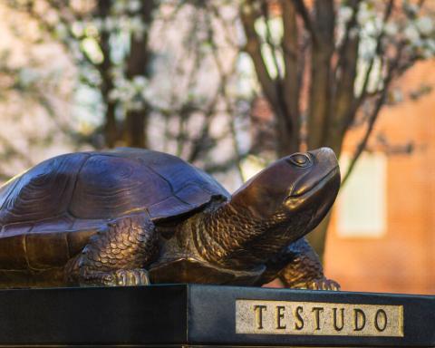 Testudo 